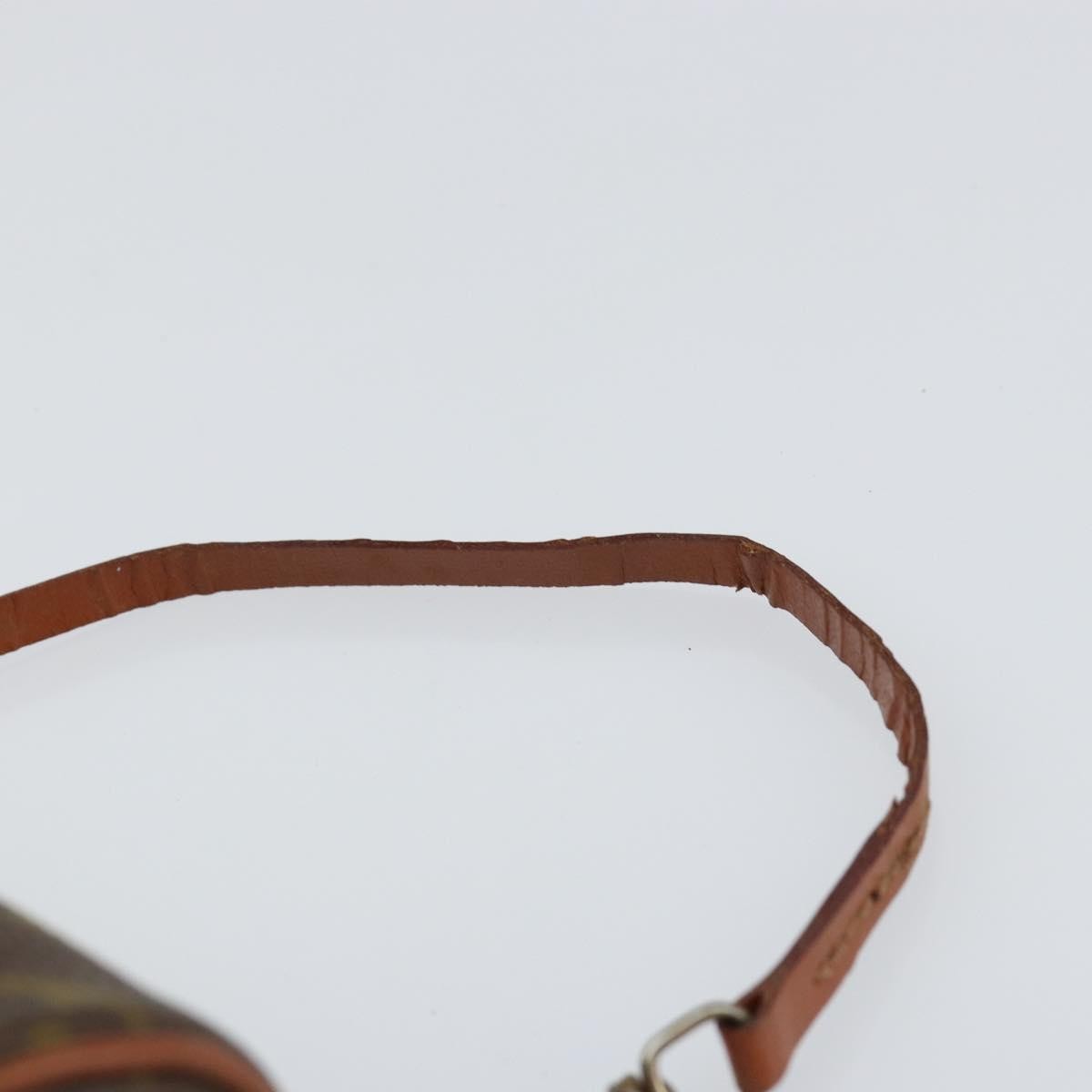 Louis Vuitton Papillon Pochette Monogram Canvas, BROWN, CANVAS, Clutche & pouche