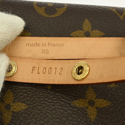 Louis Vuitton Florentine Waist Bag Monogram Canvas, BROWN, CANVAS, Clutche & pouche