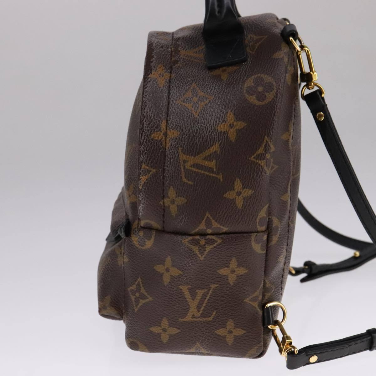 Louis Vuitton Palm Springs Backpack Monogram Canvas, BROWN, CANVAS, Backpack