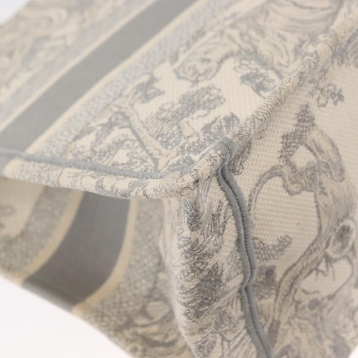 Christian Dior Book Tote Embroidered Canvas, GRAY, CANVAS, Tote bag
