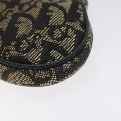 Christian Dior Saddle coin purse Trotter canvas, BLACK, CANVAS, Wallets