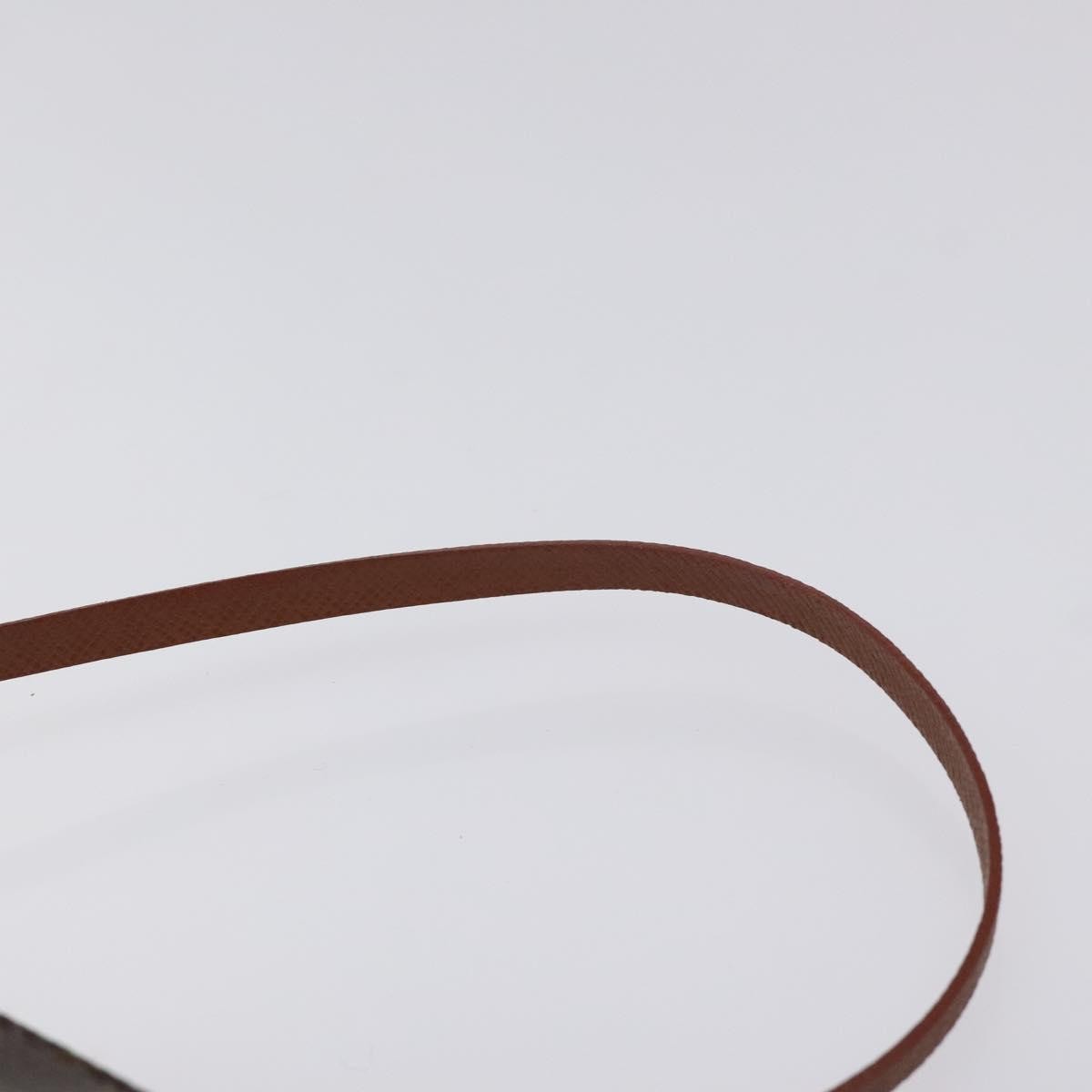 Louis Vuitton Papillon Pochette Monogram Canvas, BROWN, CANVAS, Clutche & pouche