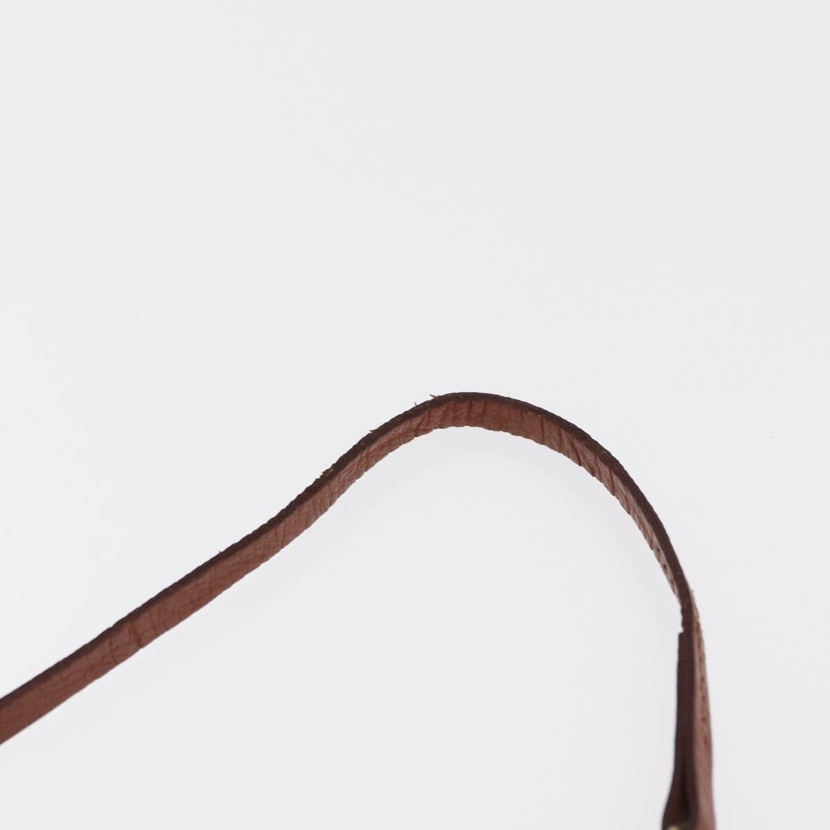 Louis Vuitton Papillon Pochette Monogram Canvas, BROWN, CANVAS, Clutche & pouche