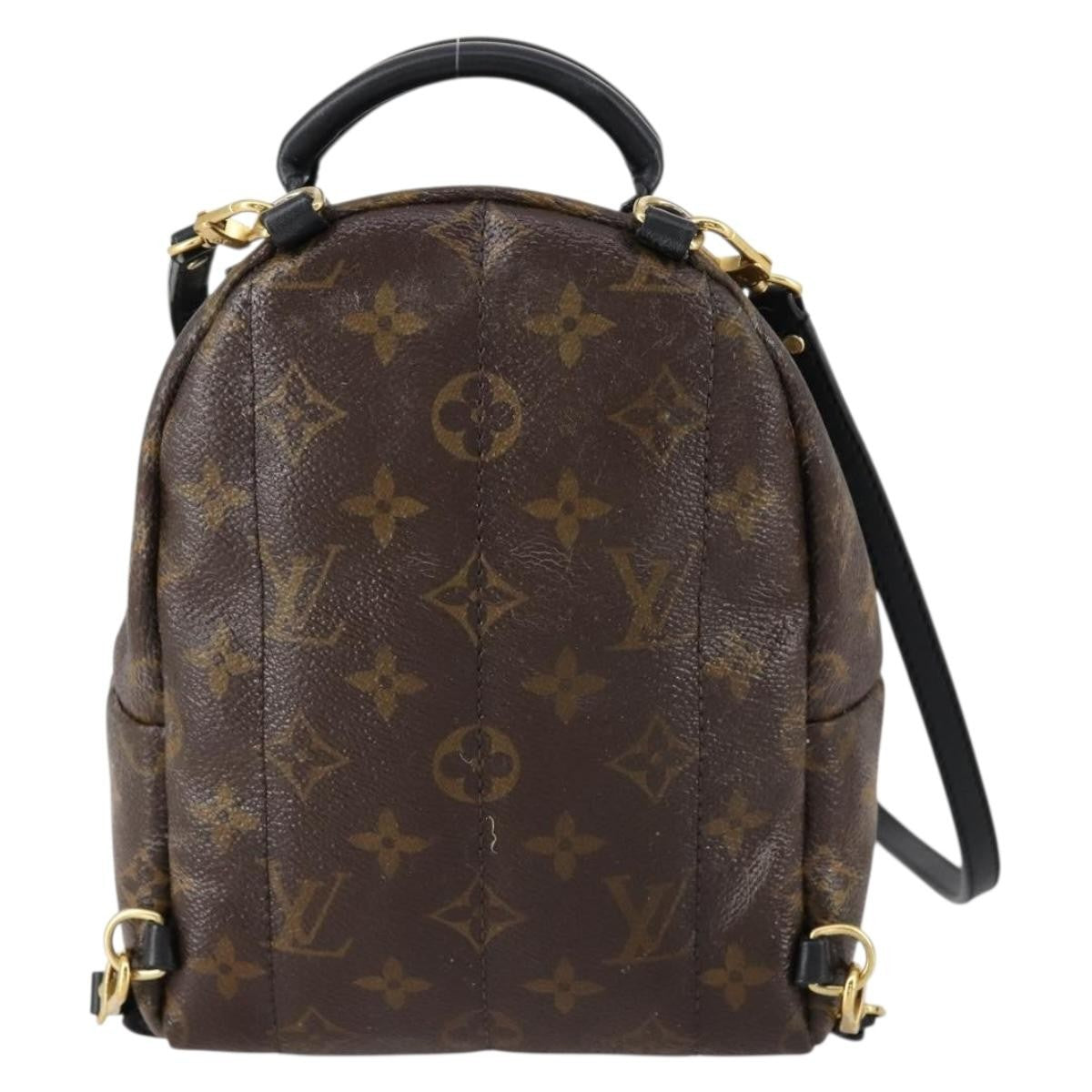 Louis Vuitton Palm Springs Backpack Monogram Canvas, BROWN, CANVAS, Backpack