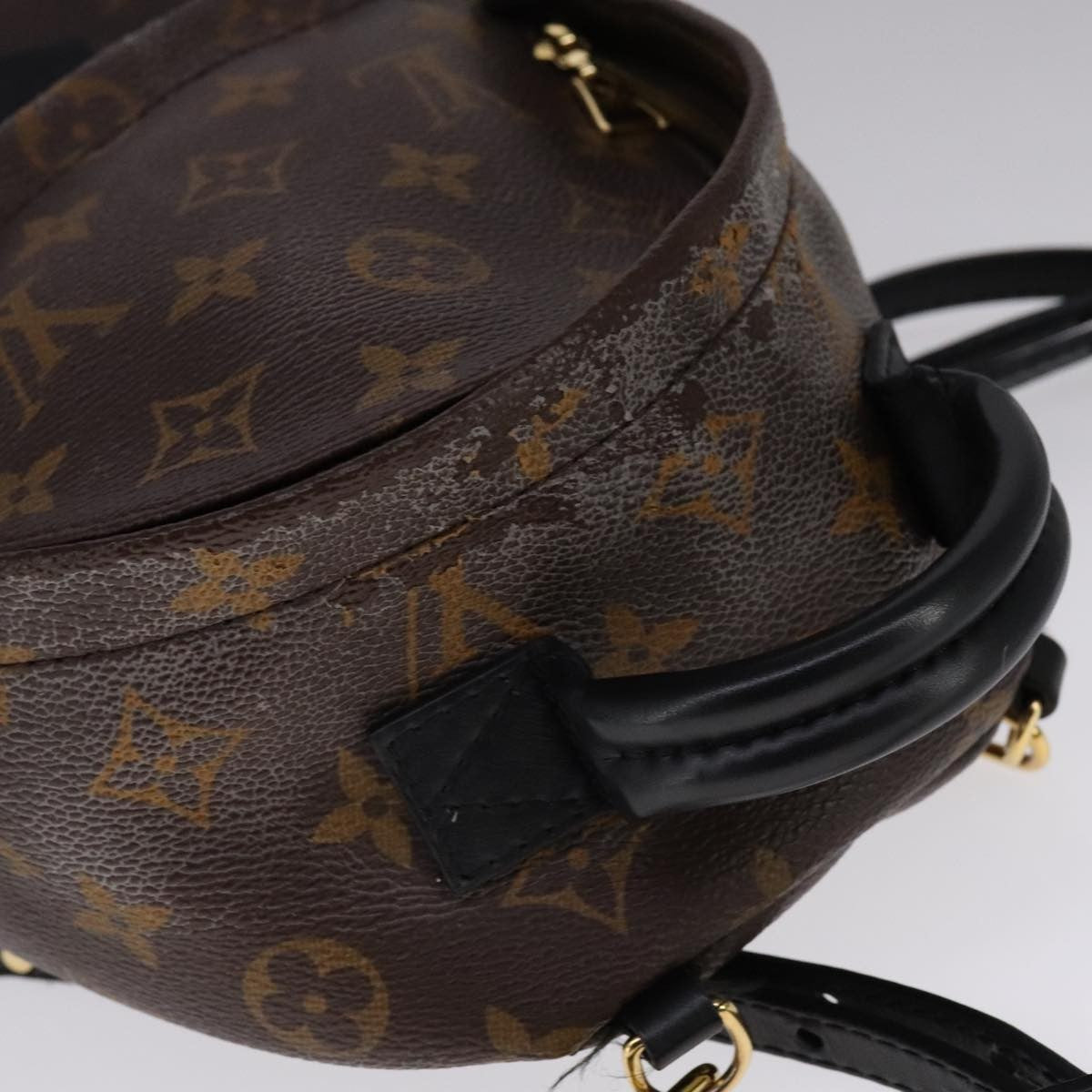 Louis Vuitton Palm Springs Backpack Monogram Canvas, BROWN, CANVAS, Backpack