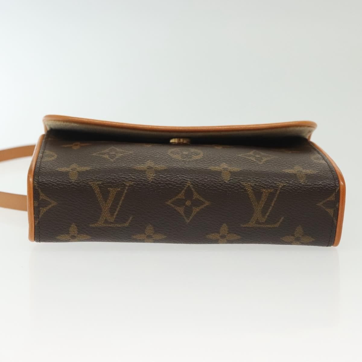 Louis Vuitton Florentine Waist Bag Monogram Canvas, BROWN, CANVAS, Clutche & pouche