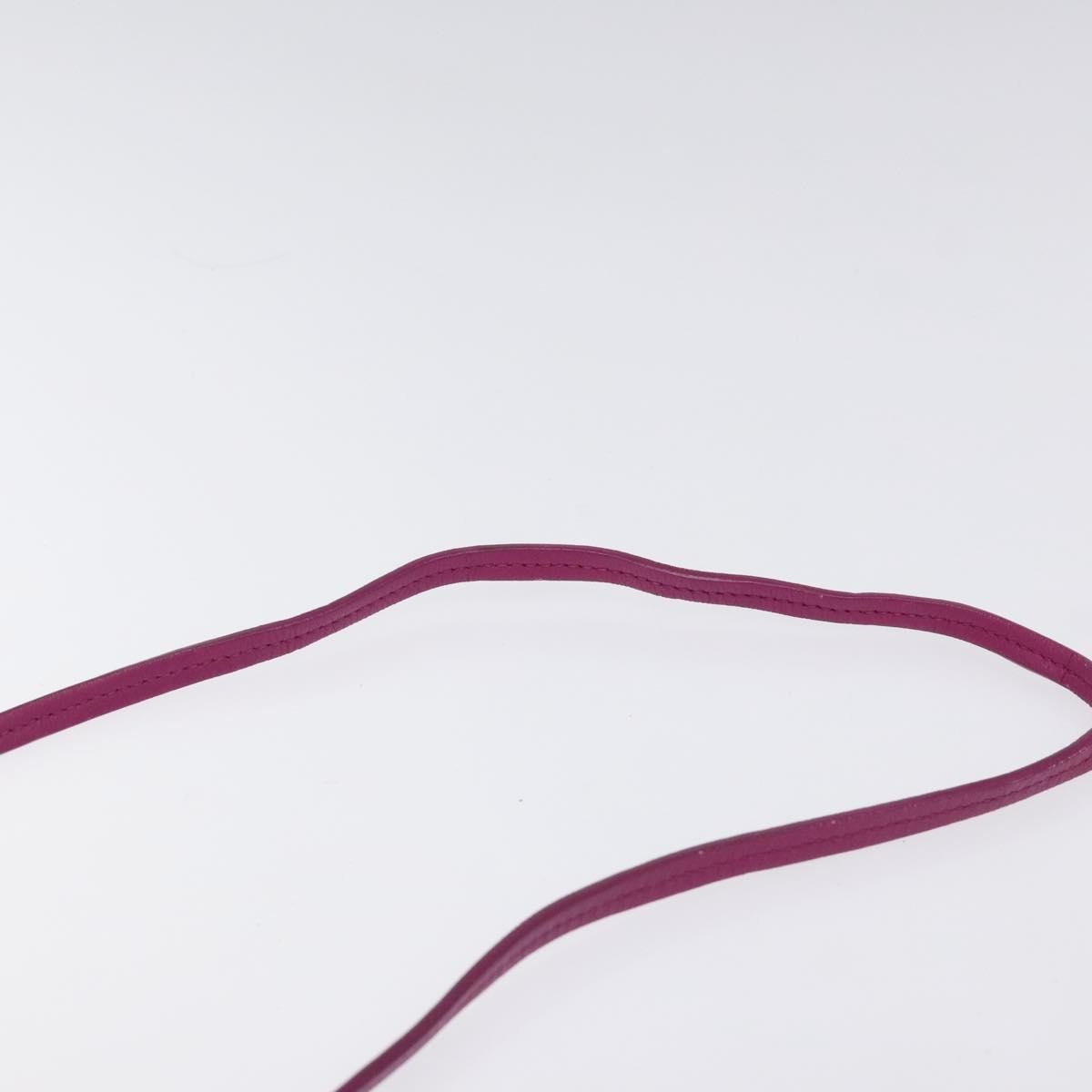 Celine Clasp Crossbody Bag Leather, PURPLE, LEATHER, Crossbody bag