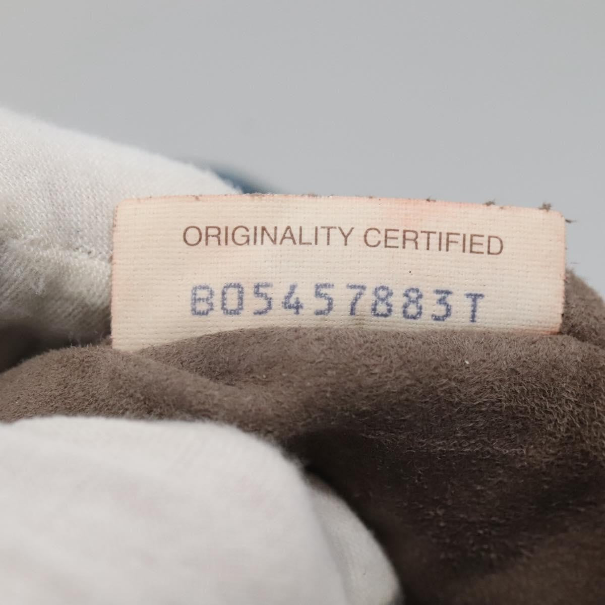 Bottega Veneta Belted Zip Chain Tote Intrecciato Nappa with Snakeskin, BLUE, LEATHER, Tote bag