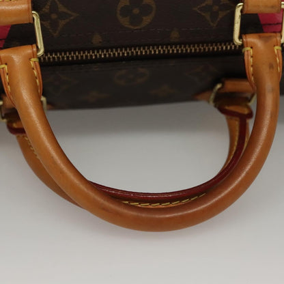 Louis Vuitton Speedy Handbag Limited Edition V Monogram Canvas, BROWN, CANVAS, Handbag