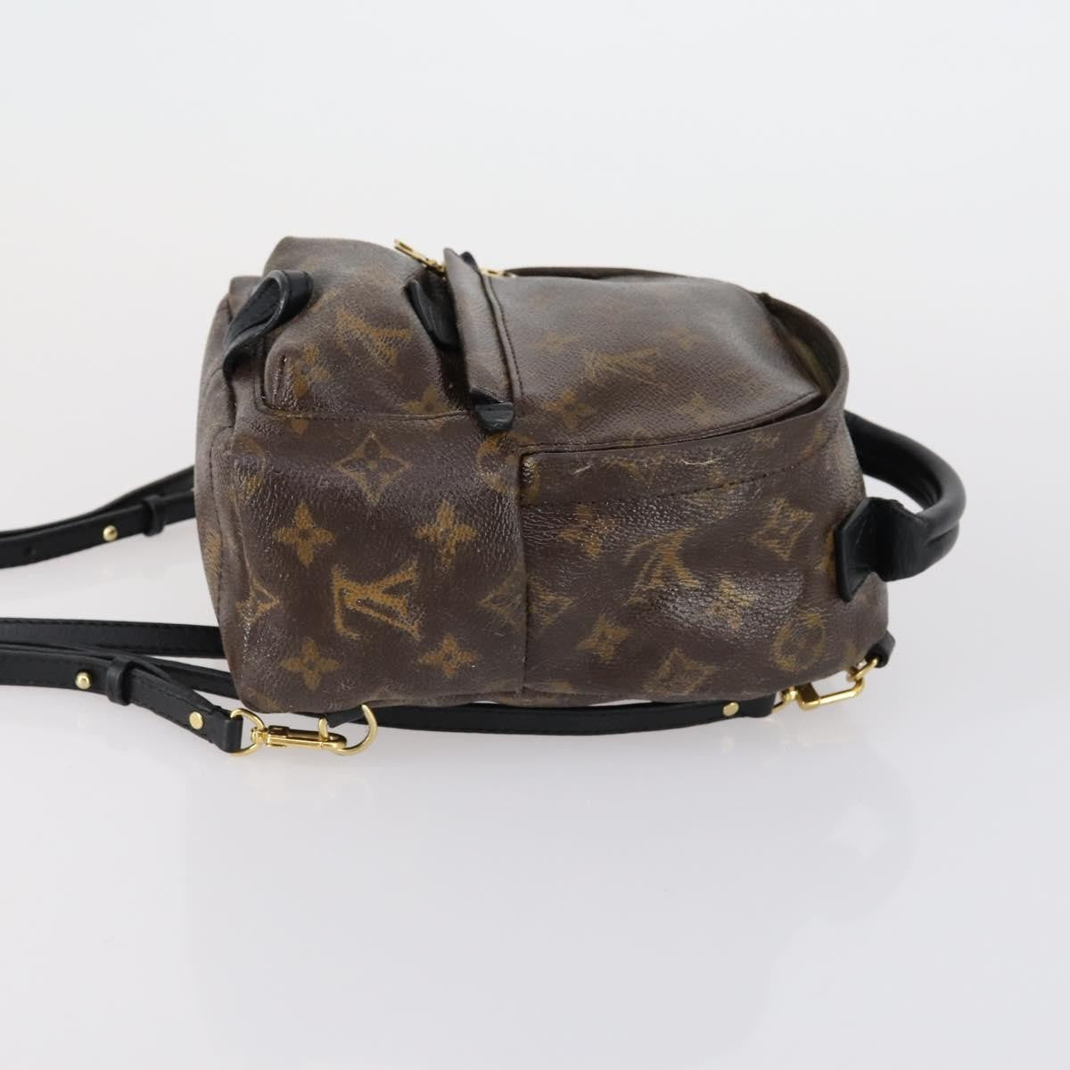 Louis Vuitton Palm Springs Backpack Monogram Canvas, BROWN, CANVAS, Backpack