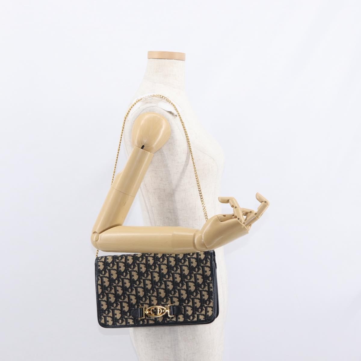 Christian Dior Vintage CD trotter Shoulder bag Canvas, BROWN, CANVAS, Shoulder bag