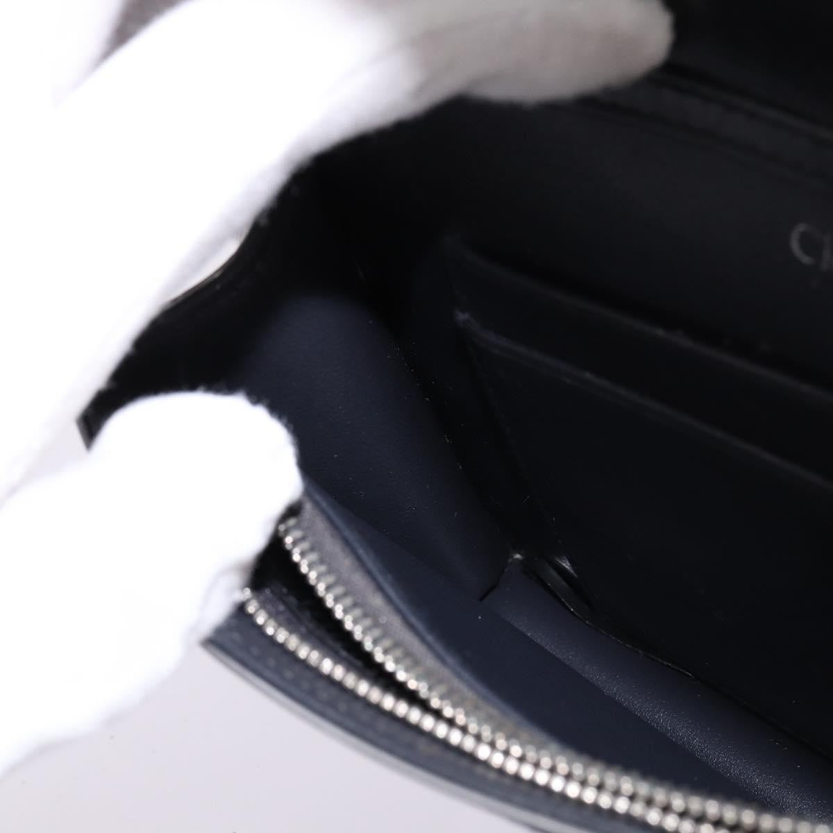 Christian Dior Diorama Wallet on Chain Metallic Distressed Calfskin, SILVER, LEATHER, Wallets