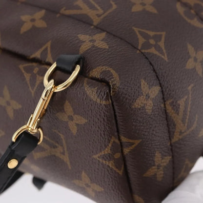 Louis Vuitton Palm Springs Monogram, Brown, Canvas, Backpack