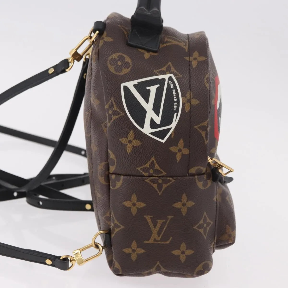 Louis Vuitton Palm Springs Limited, Brown, Canvas, Backpack