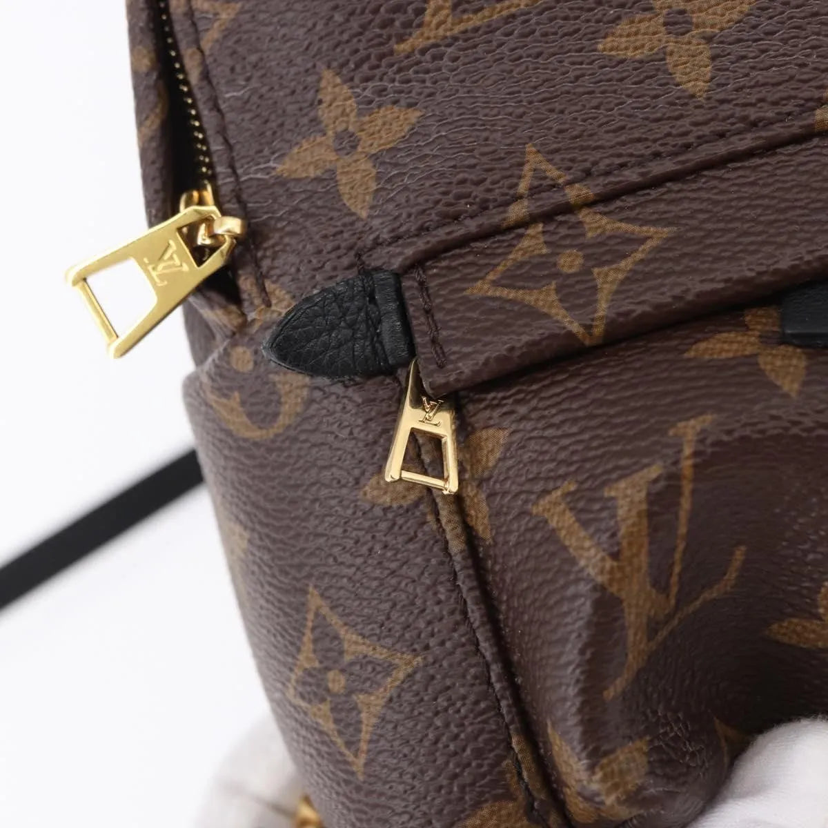 Louis Vuitton Palm Springs Monogram, Brown, Canvas, Backpack