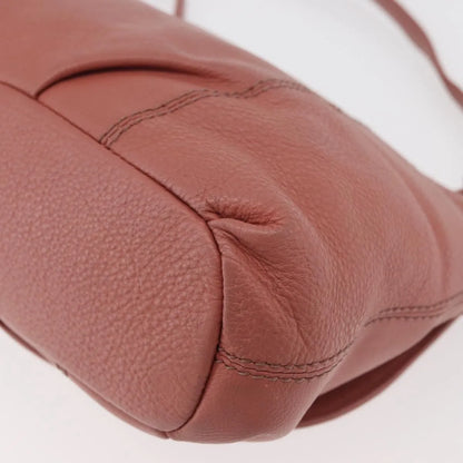Burberry Blue Label Nylon, Pink, Leather, Shoulder Bag
