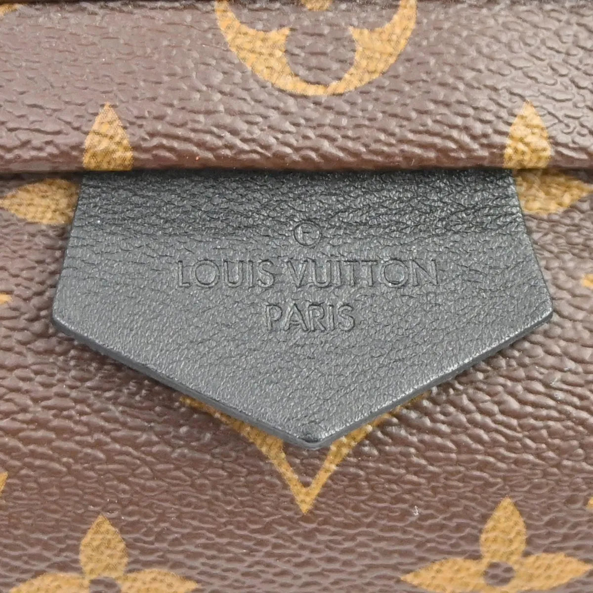 Louis Vuitton Palm Springs Monogram Canvas, Brown, Canvas, Backpack
