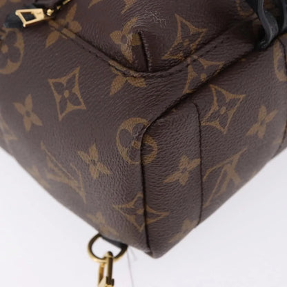 Louis Vuitton Palm Springs Monogram, Brown, Canvas, Backpack