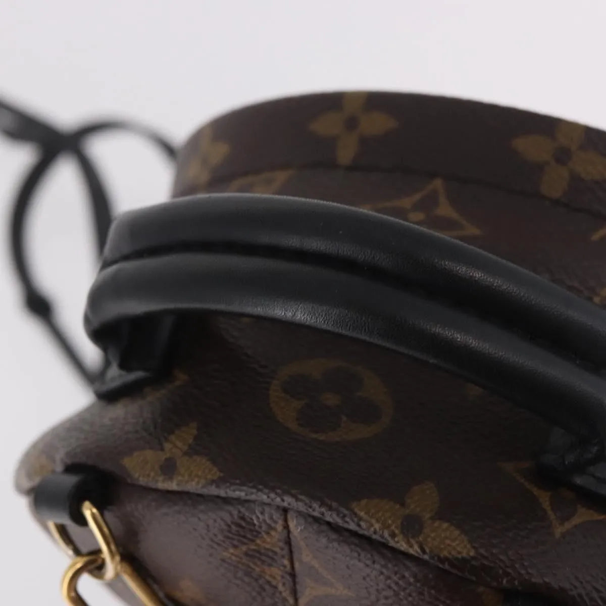 Louis Vuitton Palm Springs Limited, Brown, Canvas, Backpack