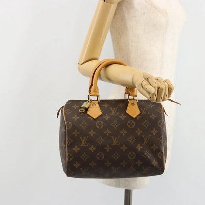 Louis Vuitton Speedy Monogram Canvas, Neutral, Canvas, Handbag