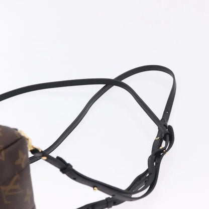 Louis Vuitton Palm Springs Monogram, Brown, Canvas, Backpack