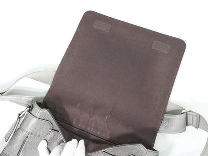 Louis Vuitton Roman Taiga Leather, Gray, Leather, Shoulder Bag