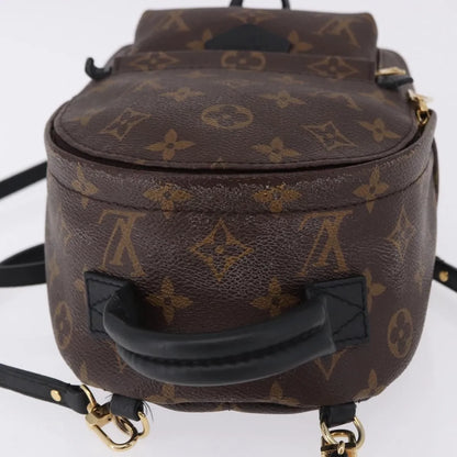 Louis Vuitton Palm Springs Monogram, Brown, Canvas, Backpack