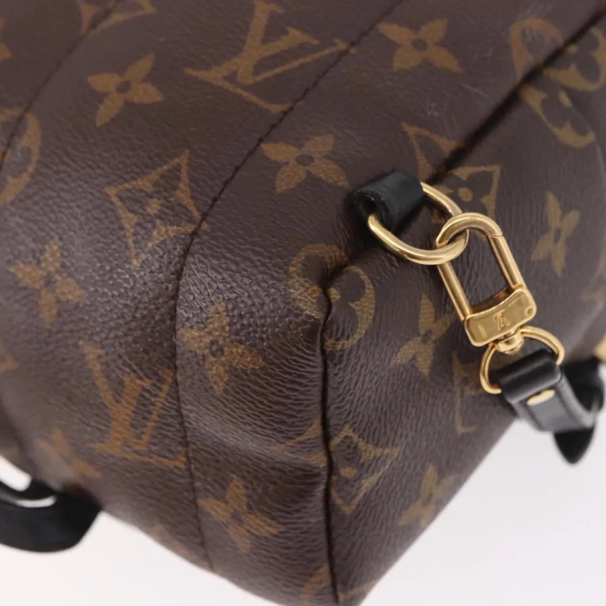Louis Vuitton Palm Springs Limited, Brown, Canvas, Backpack