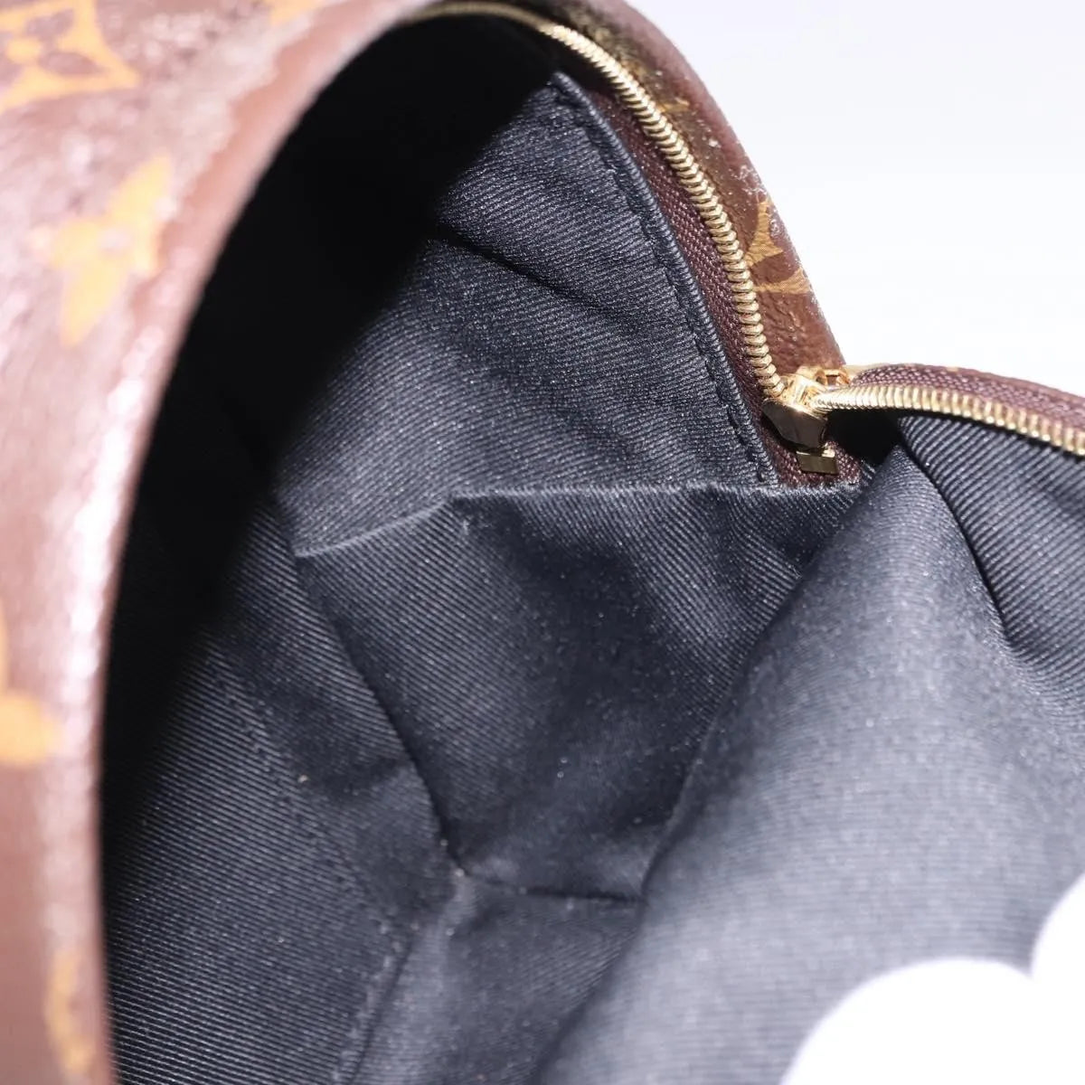 Louis Vuitton Palm Springs Monogram, Brown, Canvas, Backpack