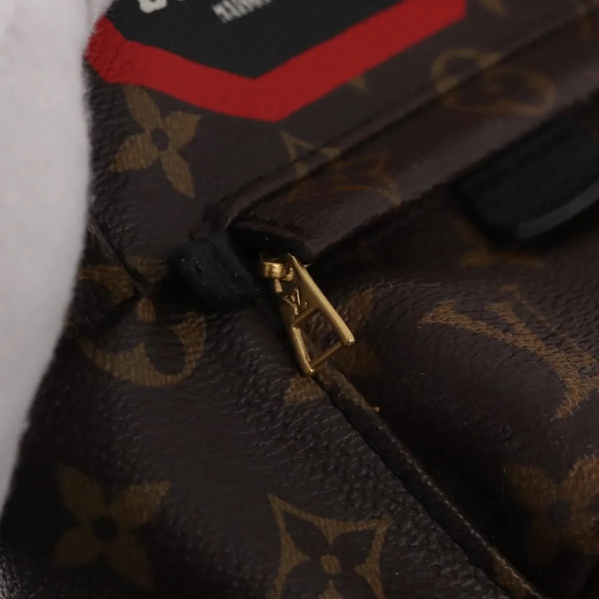 Louis Vuitton Palm Springs Limited, Brown, Canvas, Backpack