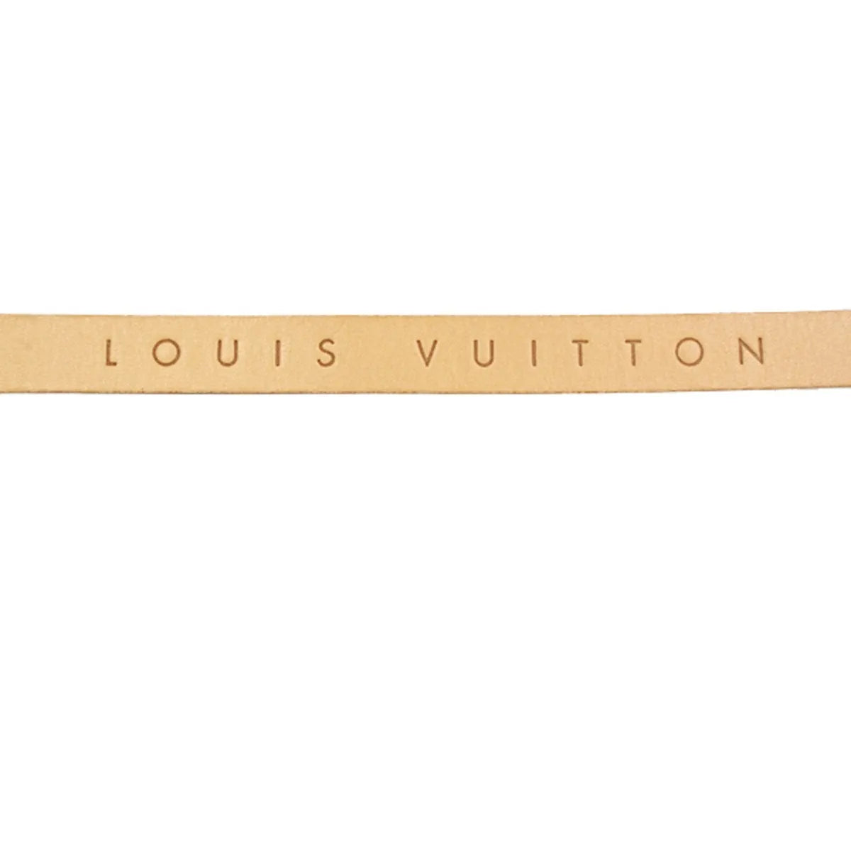 Louis Vuitton Florentine Waist Monogram Canvas, Brown, Canvas, Clutch
