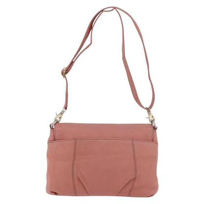 Burberry Blue Label Nylon, Pink, Leather, Shoulder Bag
