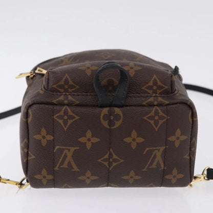Louis Vuitton Palm Springs Monogram, Brown, Canvas, Backpack
