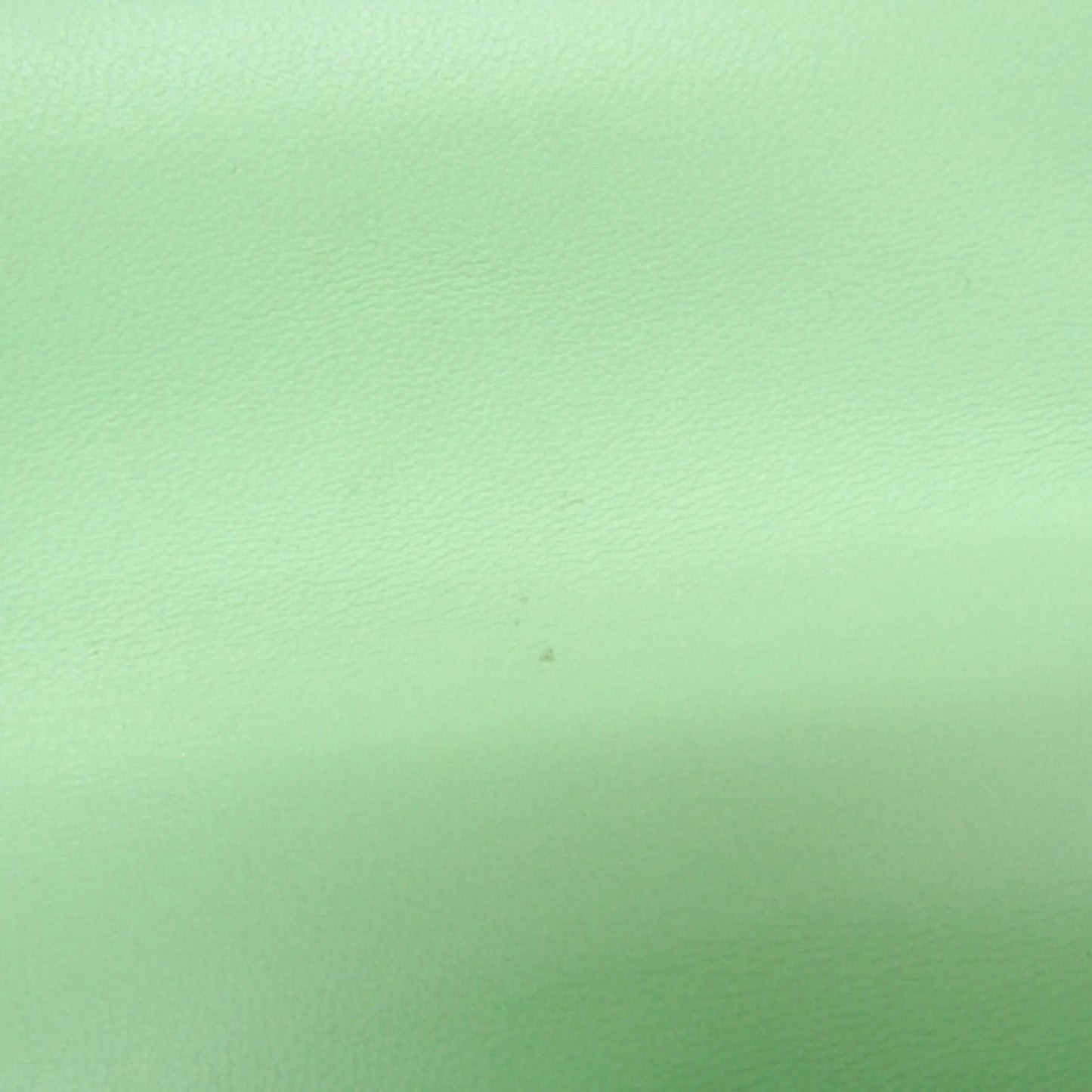 Bottega Veneta Mount Leather, Green, Leather, Shoulder Bag