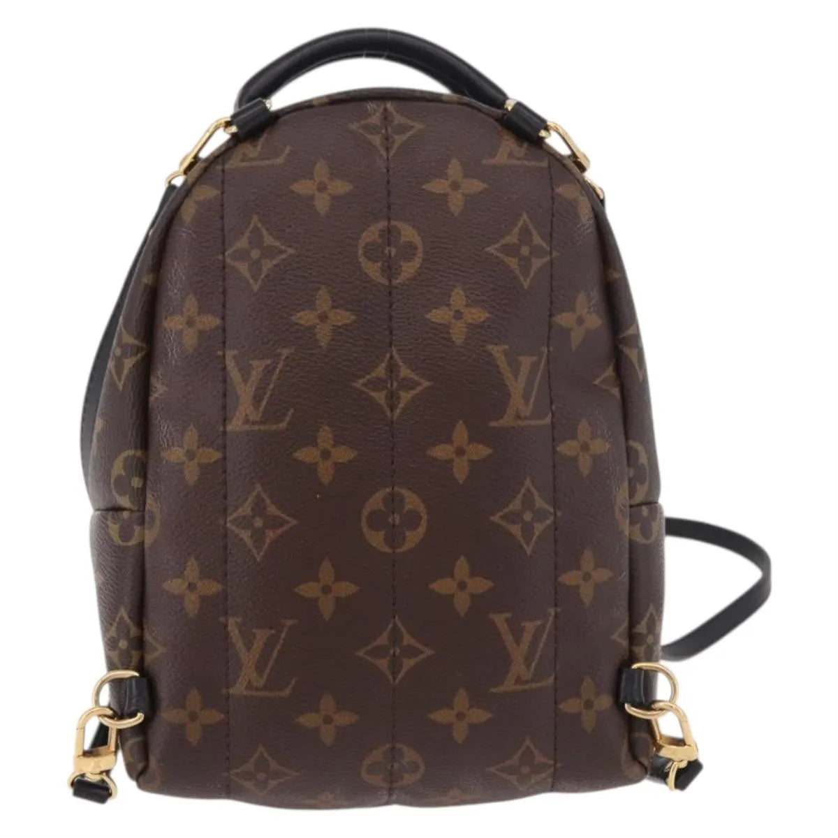 Louis Vuitton Palm Springs Limited, Brown, Canvas, Backpack