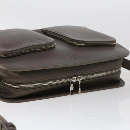 Louis Vuitton Naxos Leather, Gray, Leather, Shoulder Bag