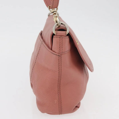 Burberry Blue Label Nylon, Pink, Leather, Shoulder Bag